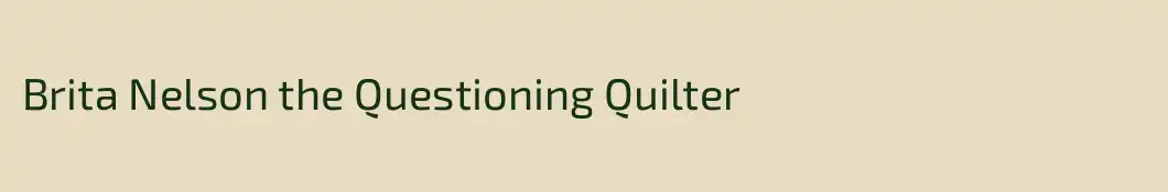 Brita Nelson the Questioning Quilter